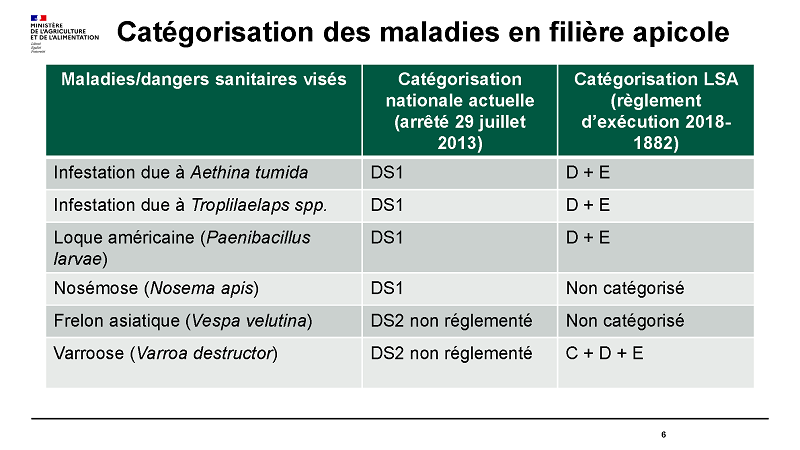 11 DGAL LSA Filire apicole du 18 11 2021 Page 06